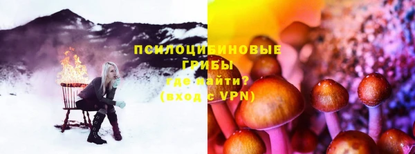 индика Абдулино